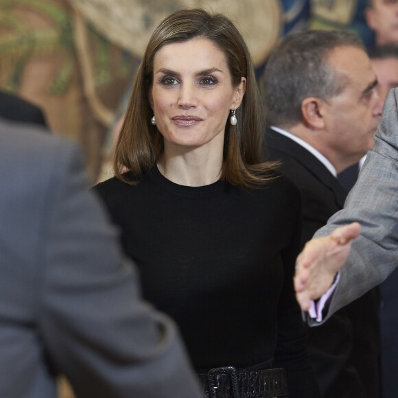 La reine Letizia et le roi Felipe VI d'Espagne recevaient en audience au Palais de la Zarzuela à Madrid le 18 novembre 2016 une délégation de la TVE à l'occasion des 60 ans de la société de télévision publique. © Jack Abuin/Zuma Press/Bestimage