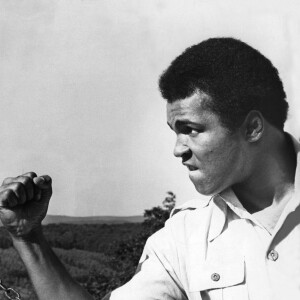Mohamed Ali et un puma à son camp d'entraînement à Deer Lake. Le 2 septembre 1974.