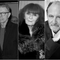 David Bowie, Sonia Rykiel, Michel Delpech... Ils nous ont quittés en 2016