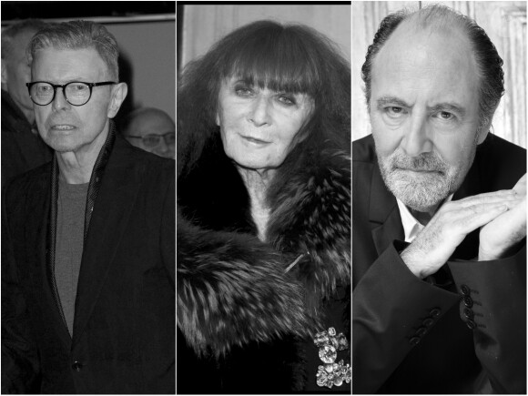 David Bowie, Sonia Rykiel et Michel Delpech nous ont quittés en 2016