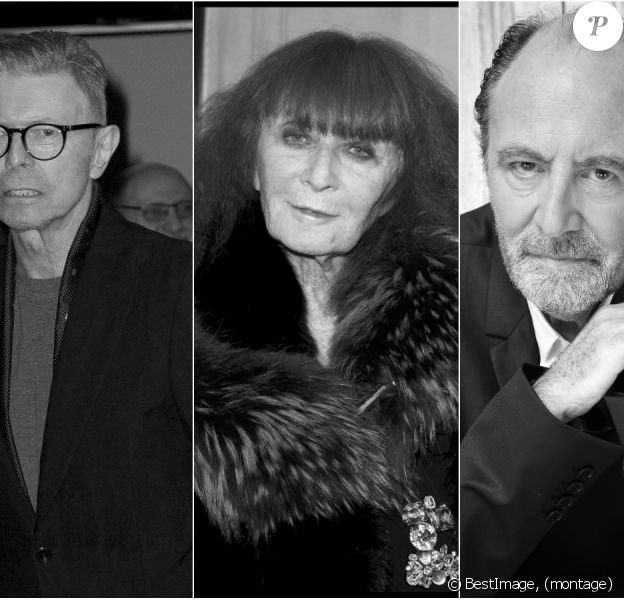 David Bowie, Sonia Rykiel et Michel Delpech nous ont quittés en 2016