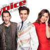 Les coachs de "The Voice 6" !