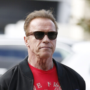 Arnold Schwarzenegger est allé déjeuner avec son garde du corps au Country Mart de Brentwood à Los Angeles, CA, USA le 27 novembre 2016.
