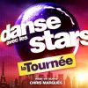 Affiche de la tournée "Danse avec les stars 7"