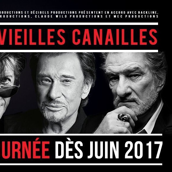 Les Vieilles Canailles se retrouveront sur scène pour une tournée de douze dates entre juin et juillet 2017.