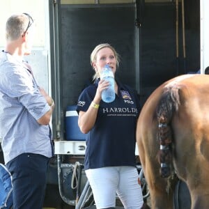 Zara Phillips a participé à un match de polo sponsorisé par Magic Millions sur la Gold Coast en Australie le 8 janvier 2017, deux semaines après la révélation de sa fausse couche alors qu'elle était enceinte de son second enfant avec Mike Tindall. Au cours de la rencontre, elle a été victime d'une chute, heureusement sans gravité.