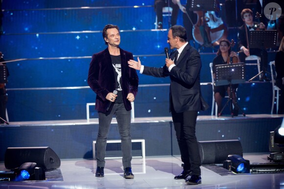 Exclusif - David Hallydaylors de la soirée hommage "Grégory Lemarchal, 10 ans après l'histoire continue" au Zénith de Paris et en direct sur TF1 le 7 janvier 2017. © Cyril Moreau/Bestimage