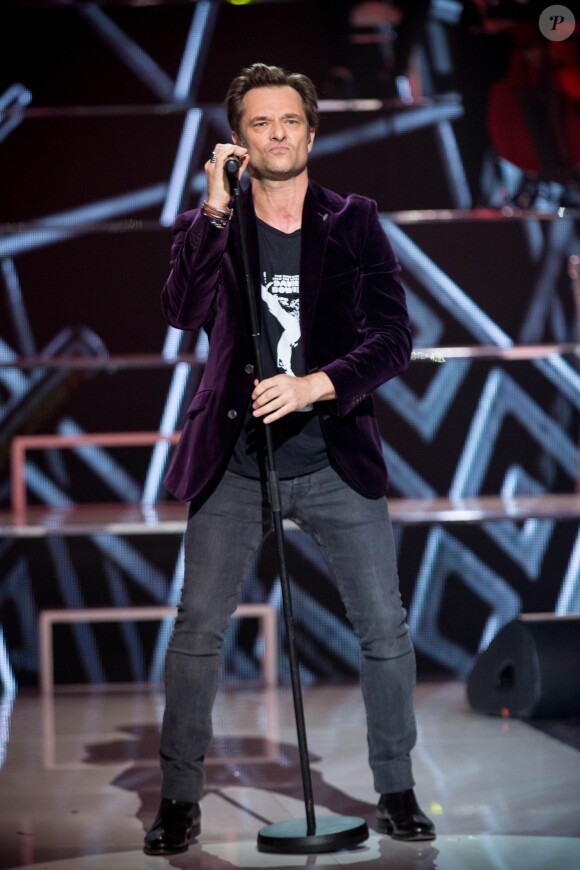 Exclusif - David Hallydaylors de la soirée hommage "Grégory Lemarchal, 10 ans après l'histoire continue" au Zénith de Paris et en direct sur TF1 le 7 janvier 2017. © Cyril Moreau/Bestimage