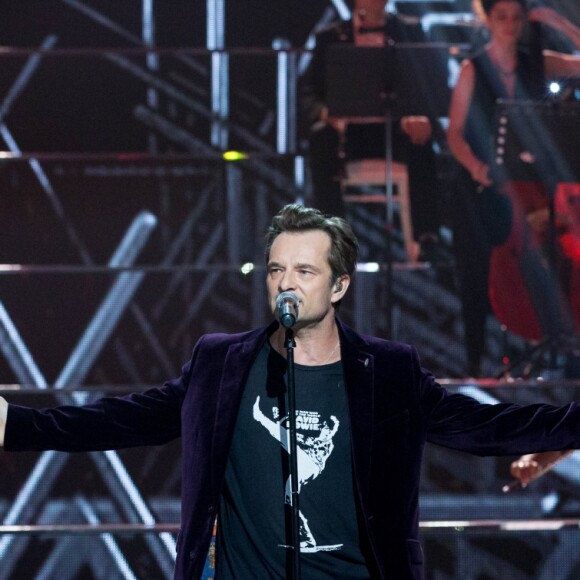 Exclusif - David Hallydaylors de la soirée hommage "Grégory Lemarchal, 10 ans après l'histoire continue" au Zénith de Paris et en direct sur TF1 le 7 janvier 2017. © Cyril Moreau/Bestimage