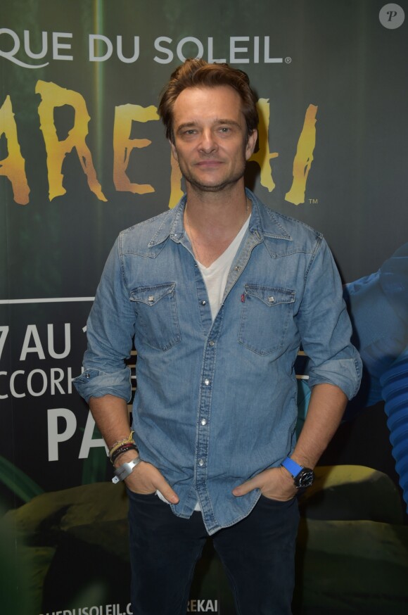 Semi-exclusif - David Hallyday - Première du spectacle du Cirque Du Soleil "VareKai" à L'AccordArena de Paris, France, le 7 décembre 2016. © Giancarlo Gorassini/Bestimage