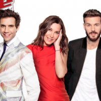 The Voice 6 : Un ex-candidat de la Star Academy au casting