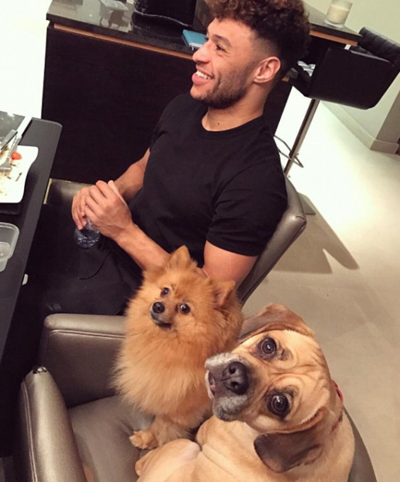 Perrie Edwards a publié une photo de son chéri avec ses deux chiens sur Instagram avant de supprimer la photo. Cliché daté du mois de janvier 2017