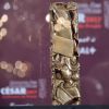 Illustration - Conférence de presse pour l'annonce des nominations pour les César 2017 au Fouquet's à Paris. Le 25 janvier 2017 © Giancarlo Gorassini / Bestimage