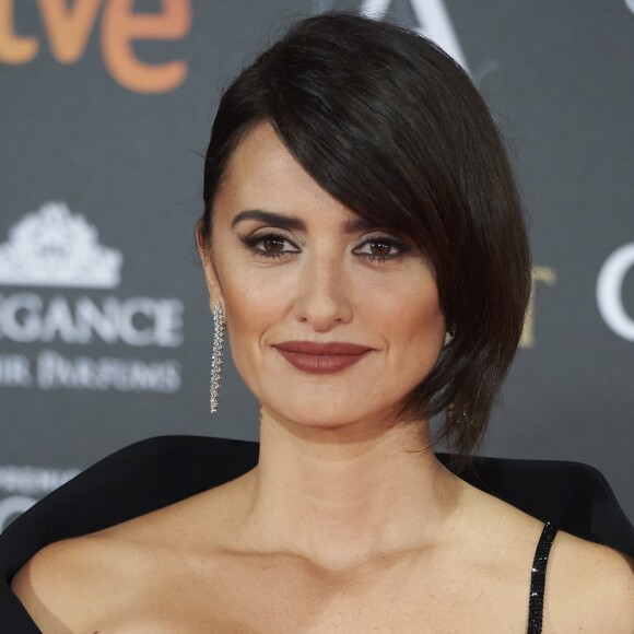 Penélope Cruz dans une robe Atelier Versace - Photocall lors de la 31ème cérémonie des Goya Awards à l'hôtel Marriott à Madrid, le 4 février 2017.