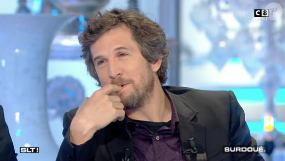 Guillaume Canet et Marion Cotillard seraient sortis ensemble bien avant la date officielle de leur recontre. Confidences dans "Salut les Terriens", sur C8, le 11 février 2017.