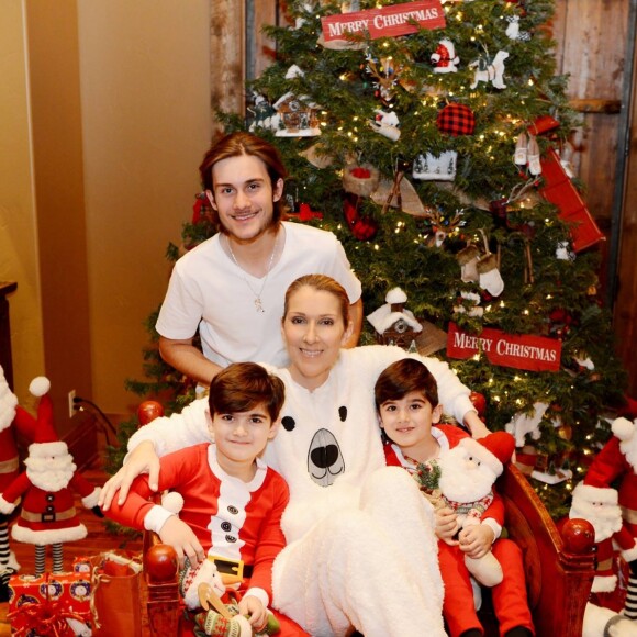 Céline Dion a dévoilé des photos de son séjour au ski avec ses files René-Charles, Nelson et Eddy, sur Facebook, le 12 janvier 2017