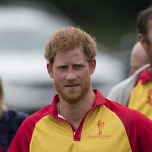 Le prince William et le prince Harry au tournoi de polo "The Jerudong Park Trophy" au club de Cirencester le 15 juillet 2017