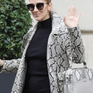 Céline Dion, surprise par l'accueil des photographes, quitte son hôtel, le "Royal Monceau", à Paris, pour se rendre à son concert à Birmingham. Le 27 juillet 2017