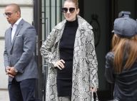 Céline Dion : Look sauvage et sexy pour la nouvelle reine de la mode