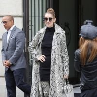 Céline Dion : Look sauvage et sexy pour la nouvelle reine de la mode