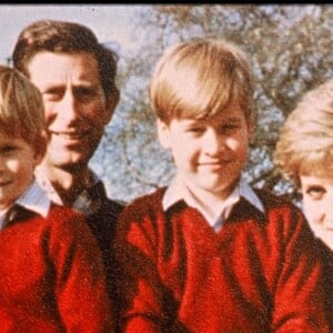 Le prince Charles et la princesse Diana avec les princes William et Harry en février 1991.