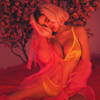 Kylie Jenner : Entièrement nue et en transparence pour V Magazine
