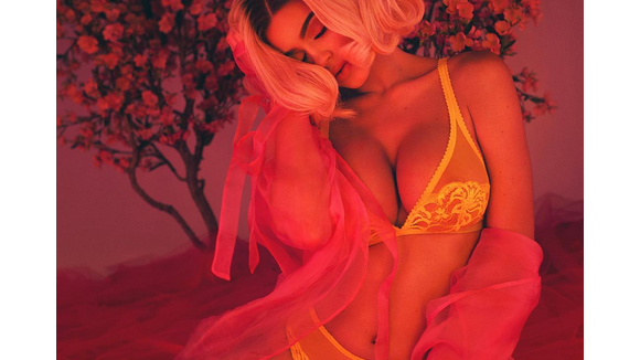 Kylie Jenner : Entièrement nue et en transparence pour V Magazine