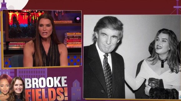 Brooke Shields lourdement draguée par Donald Trump