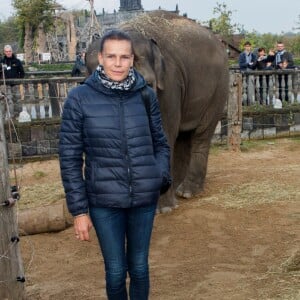 Exclusif - La Princesse Stéphanie de Monaco devient la marraine d'un bébé éléphant nommé Ta Wan (rayon de soleil), âgé de 5 semaines, lors d'une visite au parc animalier de Pairi Daiza en Belgique. Le 26 octobre 2017. La princesse a également rencontré un panda.