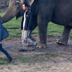 Exclusif - La Princesse Stéphanie de Monaco devient la marraine d'un bébé éléphant nommé Ta Wan (rayon de soleil), âgé de 5 semaines, lors d'une visite au parc animalier de Pairi Daiza en Belgique. Le 26 octobre 2017. La princesse a également rencontré un panda.