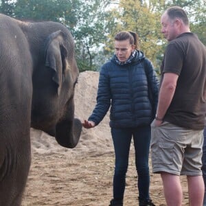 Exclusif - La Princesse Stéphanie de Monaco devient la marraine d'un bébé éléphant nommé Ta Wan (rayon de soleil), âgé de 5 semaines, lors d'une visite au parc animalier de Pairi Daiza en Belgique. Le 26 octobre 2017. La princesse a également rencontré un panda.