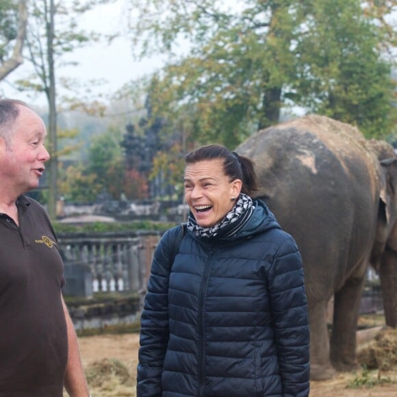 Exclusif - La Princesse Stéphanie de Monaco devient la marraine d'un bébé éléphant nommé Ta Wan (rayon de soleil), âgé de 5 semaines, lors d'une visite au parc animalier de Pairi Daiza en Belgique. Le 26 octobre 2017. La princesse a également rencontré un panda.