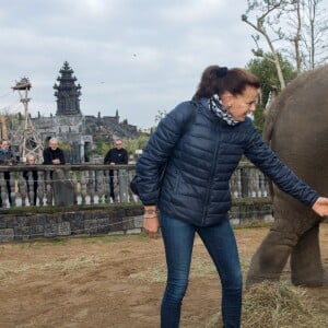 Exclusif - La Princesse Stéphanie de Monaco devient la marraine d'un bébé éléphant nommé Ta Wan (rayon de soleil), âgé de 5 semaines, lors d'une visite au parc animalier de Pairi Daiza en Belgique. Le 26 octobre 2017. La princesse a également rencontré un panda.