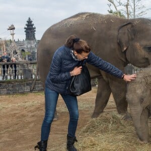 Exclusif - La Princesse Stéphanie de Monaco devient la marraine d'un bébé éléphant nommé Ta Wan (rayon de soleil), âgé de 5 semaines, lors d'une visite au parc animalier de Pairi Daiza en Belgique. Le 26 octobre 2017. La princesse a également rencontré un panda.