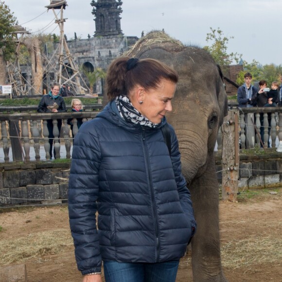 Exclusif - La Princesse Stéphanie de Monaco devient la marraine d'un bébé éléphant nommé Ta Wan (rayon de soleil), âgé de 5 semaines, lors d'une visite au parc animalier de Pairi Daiza en Belgique. Le 26 octobre 2017. La princesse a également rencontré un panda.
