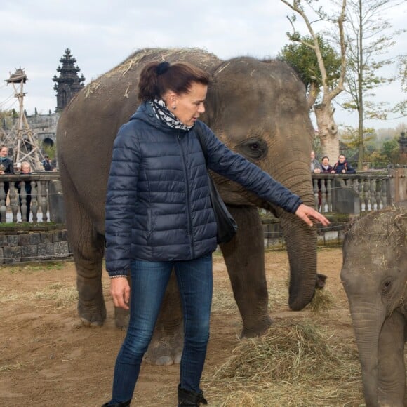 Exclusif - La Princesse Stéphanie de Monaco devient la marraine d'un bébé éléphant nommé Ta Wan (rayon de soleil), âgé de 5 semaines, lors d'une visite au parc animalier de Pairi Daiza en Belgique. Le 26 octobre 2017. La princesse a également rencontré un panda.