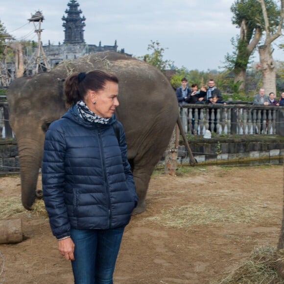 Exclusif - La Princesse Stéphanie de Monaco devient la marraine d'un bébé éléphant nommé Ta Wan (rayon de soleil), âgé de 5 semaines, lors d'une visite au parc animalier de Pairi Daiza en Belgique. Le 26 octobre 2017. La princesse a également rencontré un panda.