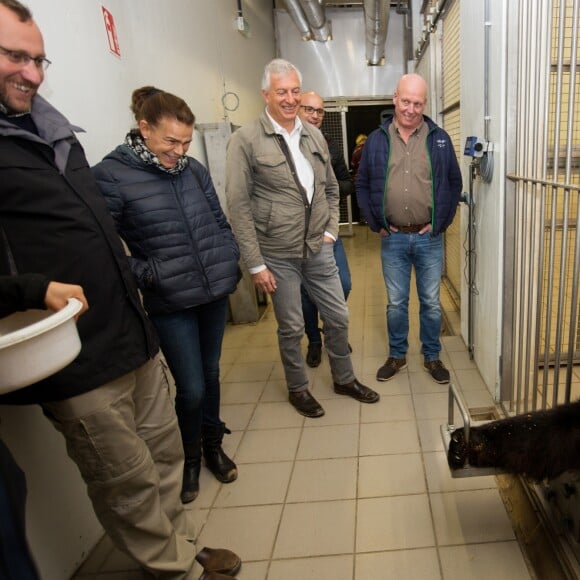 Exclusif - La Princesse Stéphanie de Monaco devient la marraine d'un bébé éléphant nommé Ta Wan (rayon de soleil), âgé de 5 semaines, lors d'une visite au parc animalier de Pairi Daiza en Belgique. Le 26 octobre 2017. La princesse a également rencontré un panda.