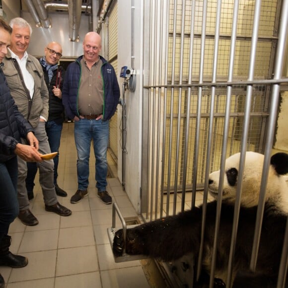 Exclusif - La Princesse Stéphanie de Monaco devient la marraine d'un bébé éléphant nommé Ta Wan (rayon de soleil), âgé de 5 semaines, lors d'une visite au parc animalier de Pairi Daiza en Belgique. Le 26 octobre 2017. La princesse a également rencontré un panda.