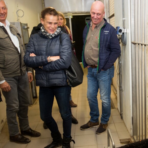 Exclusif - La Princesse Stéphanie de Monaco devient la marraine d'un bébé éléphant nommé Ta Wan (rayon de soleil), âgé de 5 semaines, lors d'une visite au parc animalier de Pairi Daiza en Belgique. Le 26 octobre 2017. La princesse a également rencontré un panda.