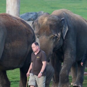 Exclusif - La Princesse Stéphanie de Monaco devient la marraine d'un bébé éléphant nommé Ta Wan (rayon de soleil), âgé de 5 semaines, lors d'une visite au parc animalier de Pairi Daiza en Belgique. Le 26 octobre 2017. La princesse a également rencontré un panda.