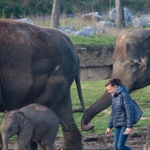 Exclusif - La Princesse Stéphanie de Monaco devient la marraine d'un bébé éléphant nommé Ta Wan (rayon de soleil), âgé de 5 semaines, lors d'une visite au parc animalier de Pairi Daiza en Belgique. Le 26 octobre 2017. La princesse a également rencontré un panda.