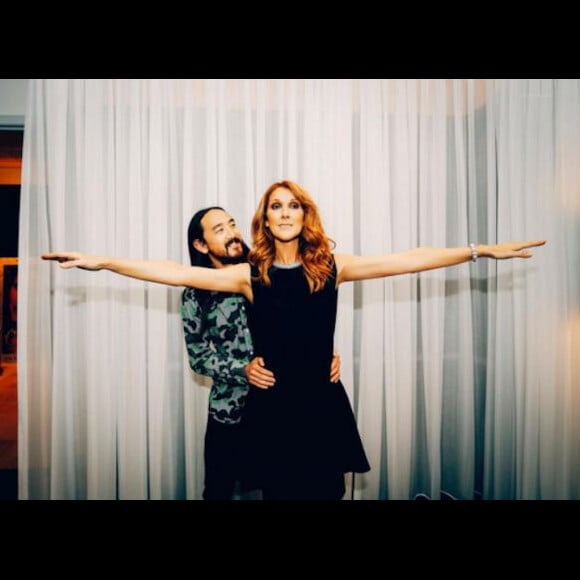 Céline Dion et le DJ Steve Aoki, à Las Vegas, en novembre 2015
