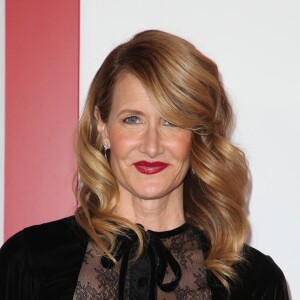 Laura Dern - People à l'avant première du film 'Downsizing' au cinéma Regency Village à Los Angeles, le 18 décembre 2017.
