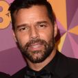 Ricky Martin au photocall de la soirée HBO's official Golden Globe after party au restaurant Circa 55 de l'hôtel Hilton à Beverly Hills le 7 janvier 2018.