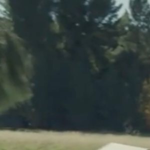 Justin Timberlake - Man of the Woods - janvier 2018.