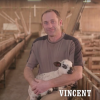 Vincent, 45 ans et père de deux enfants, est éleveur de brebis allaitantes en Occitanie. C'est un candidat de "L'amour est dans le pré 2017".