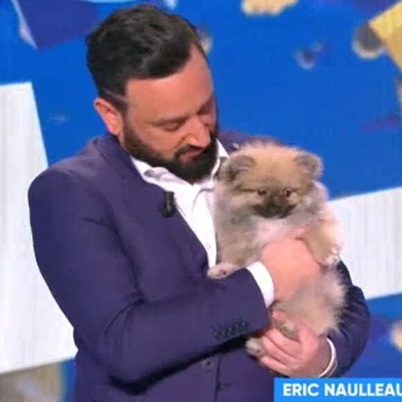 Cyril Hanouna - "TPMP", 5 mars 2018, C8