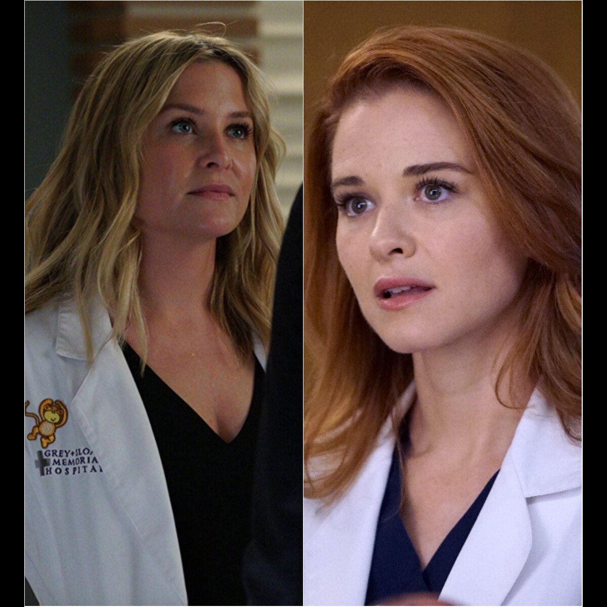 Photo Jessica Capshaw Arizona Robbins Et Sarah Drew April Kepner Dans Greys Anatomy 7089