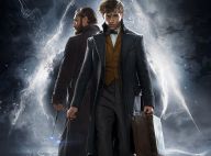 Les Animaux Fantastiques 2 : De Poudlard à Paris, avec Jude Law en Dumbledore
